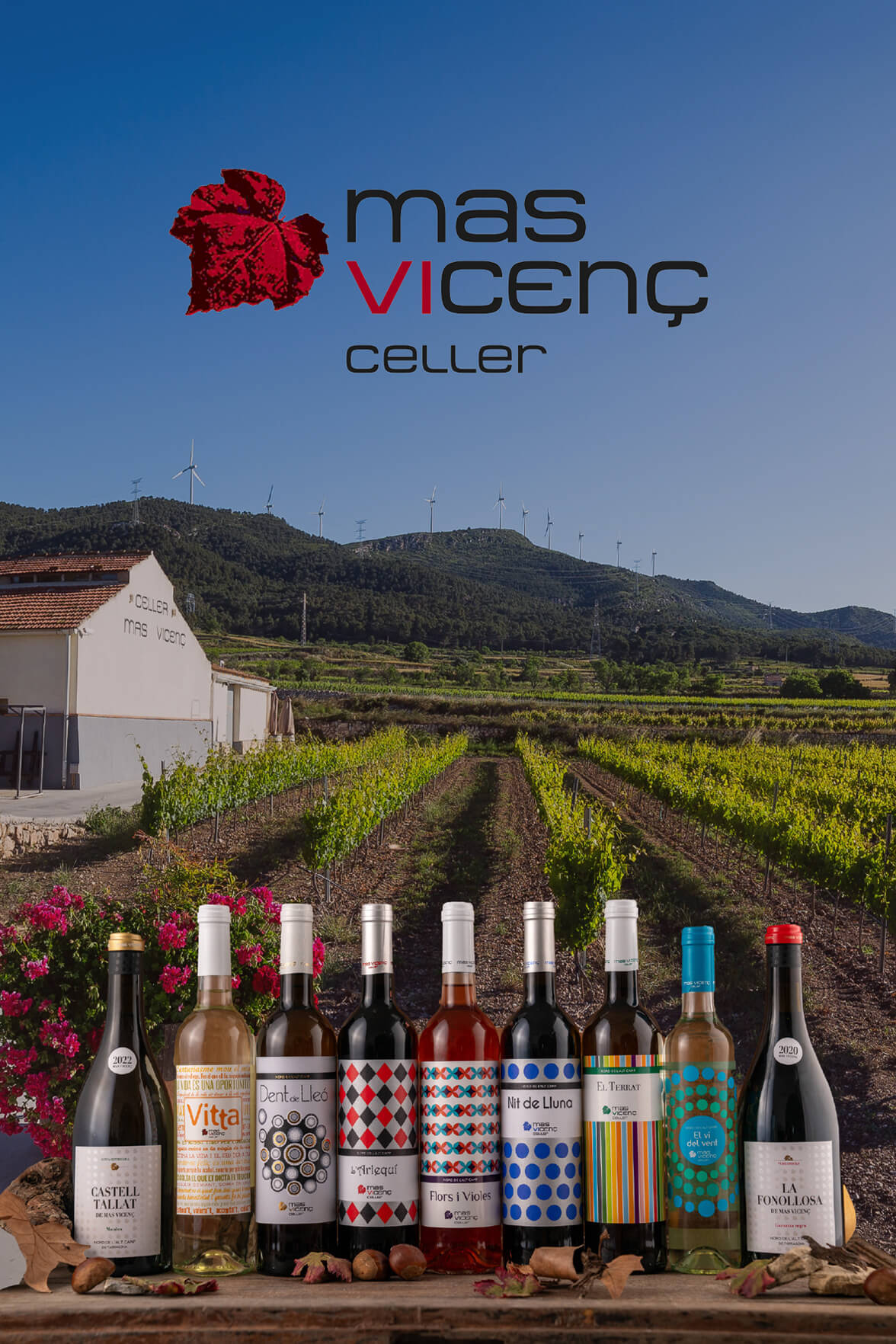 Mas Vicenç Celler