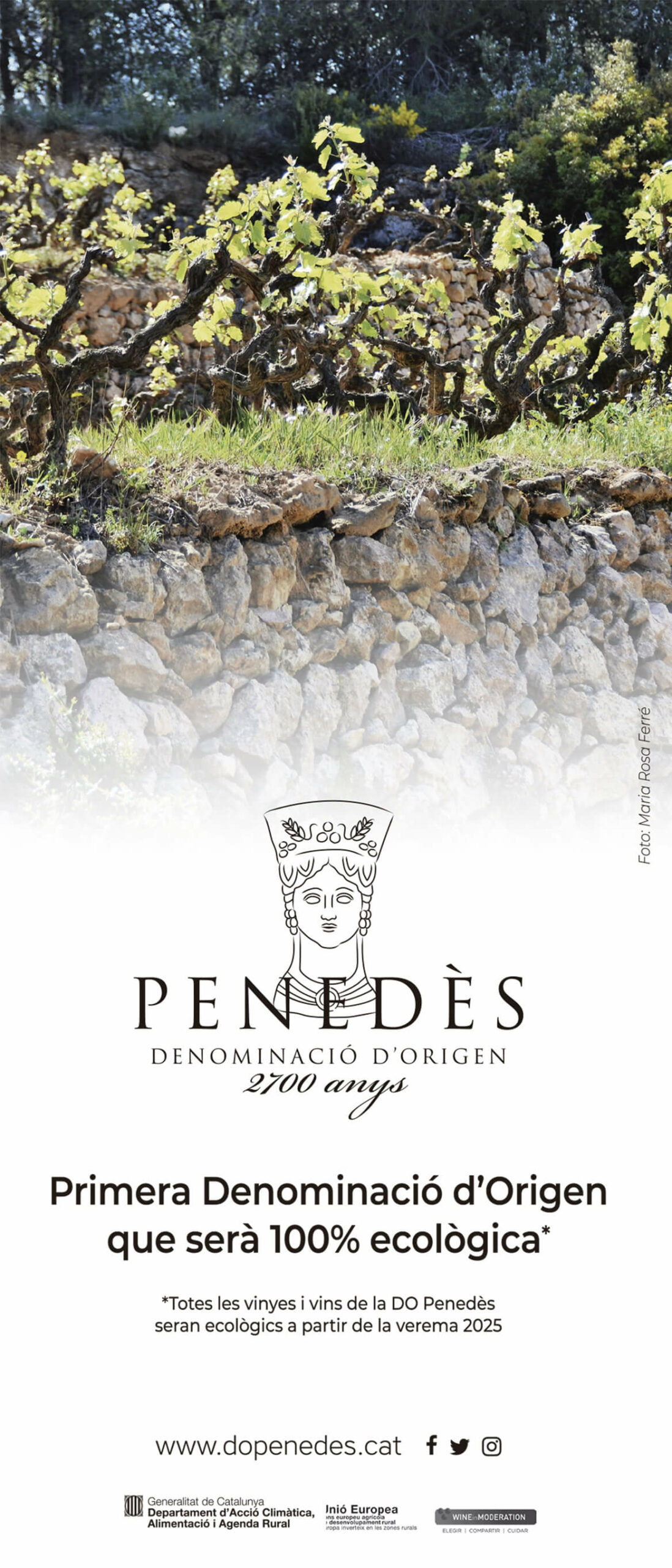 Penedès Denominació d'Origen