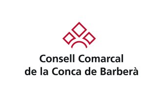 Consell Comarcal