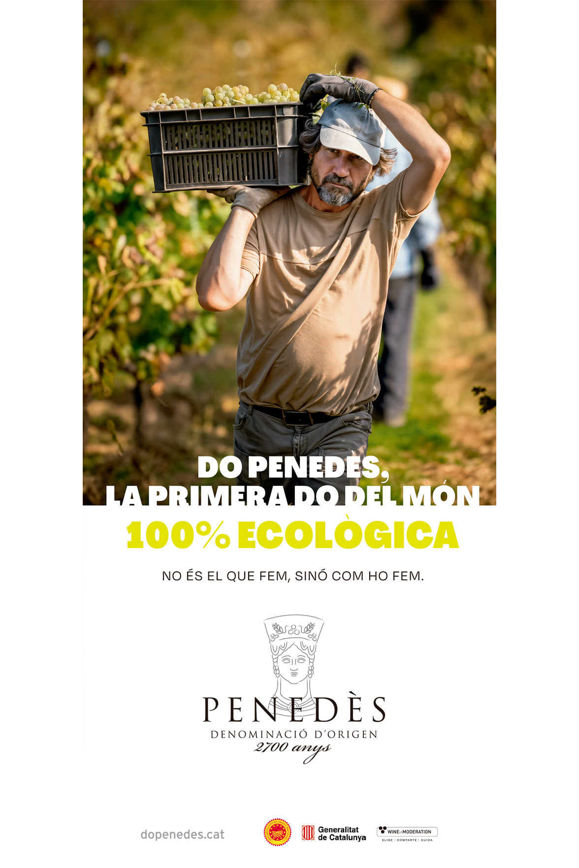 DO Penedès