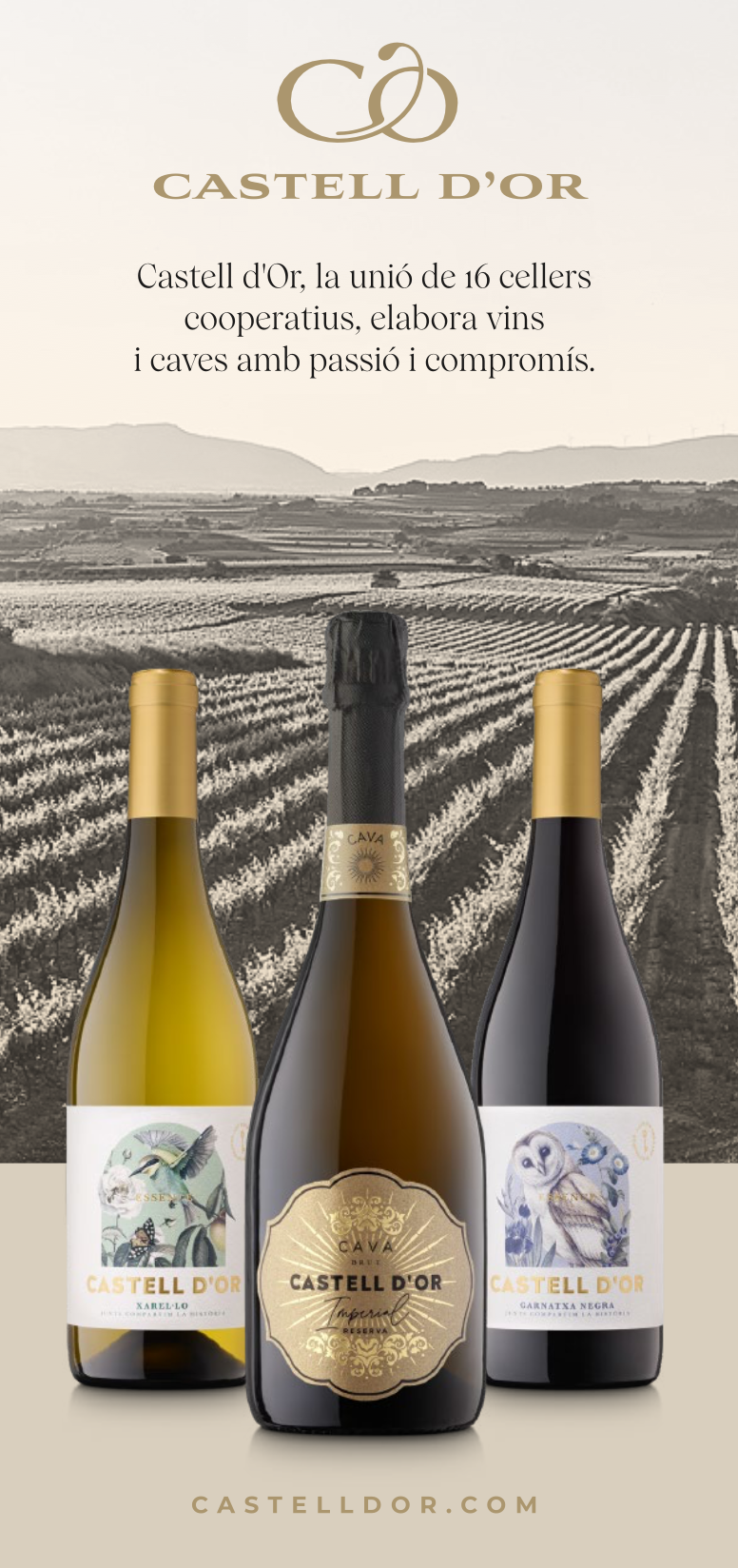 Bayo — Arròs d'hostaleria per excel·lència